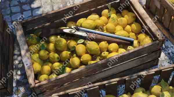 《四海兄弟:故乡》PC配置公布 采用D加密防篡改技术