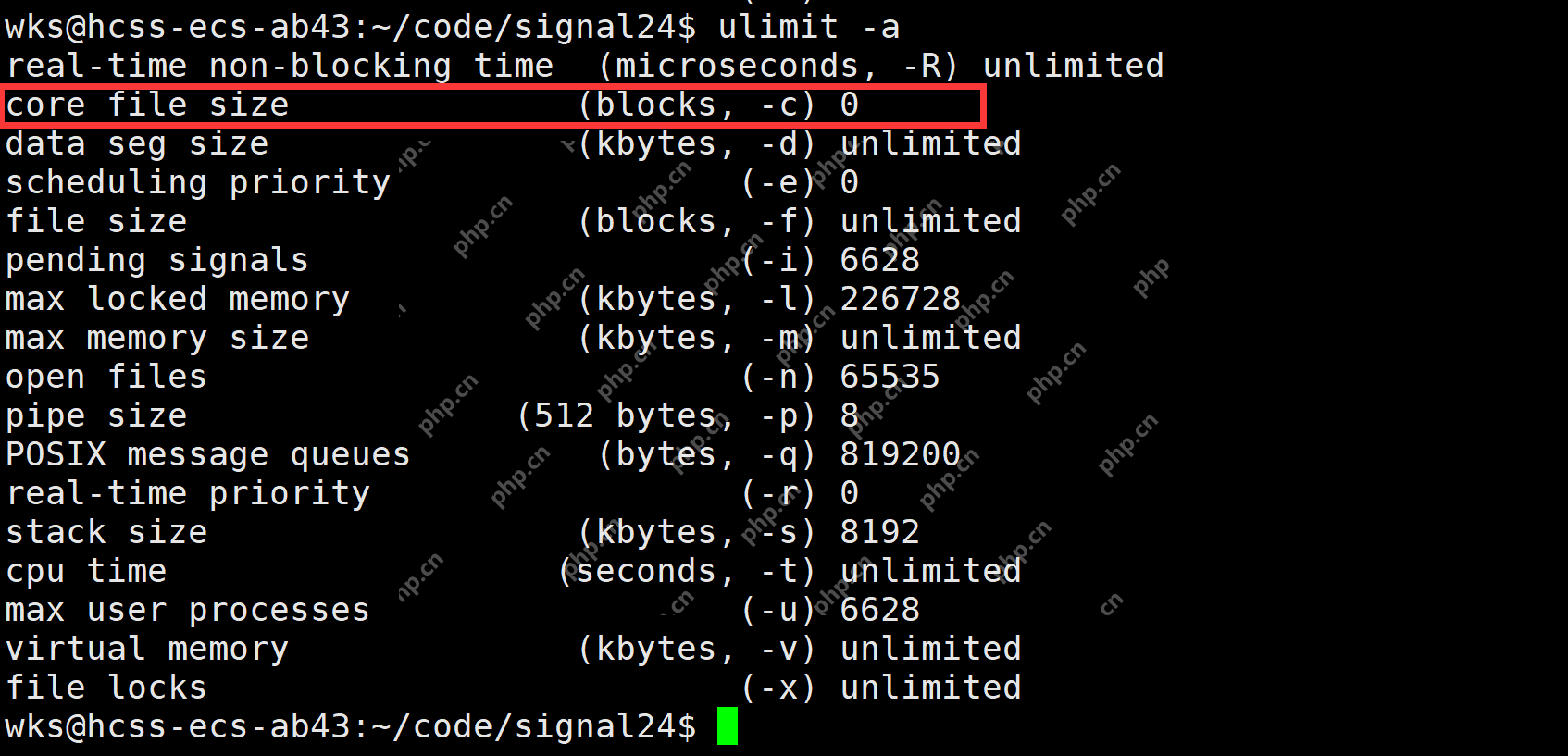 【linux学习指南】Linux进程信号产生(三) 硬件异常&&除零出错？&&野指针异常？&&core文件