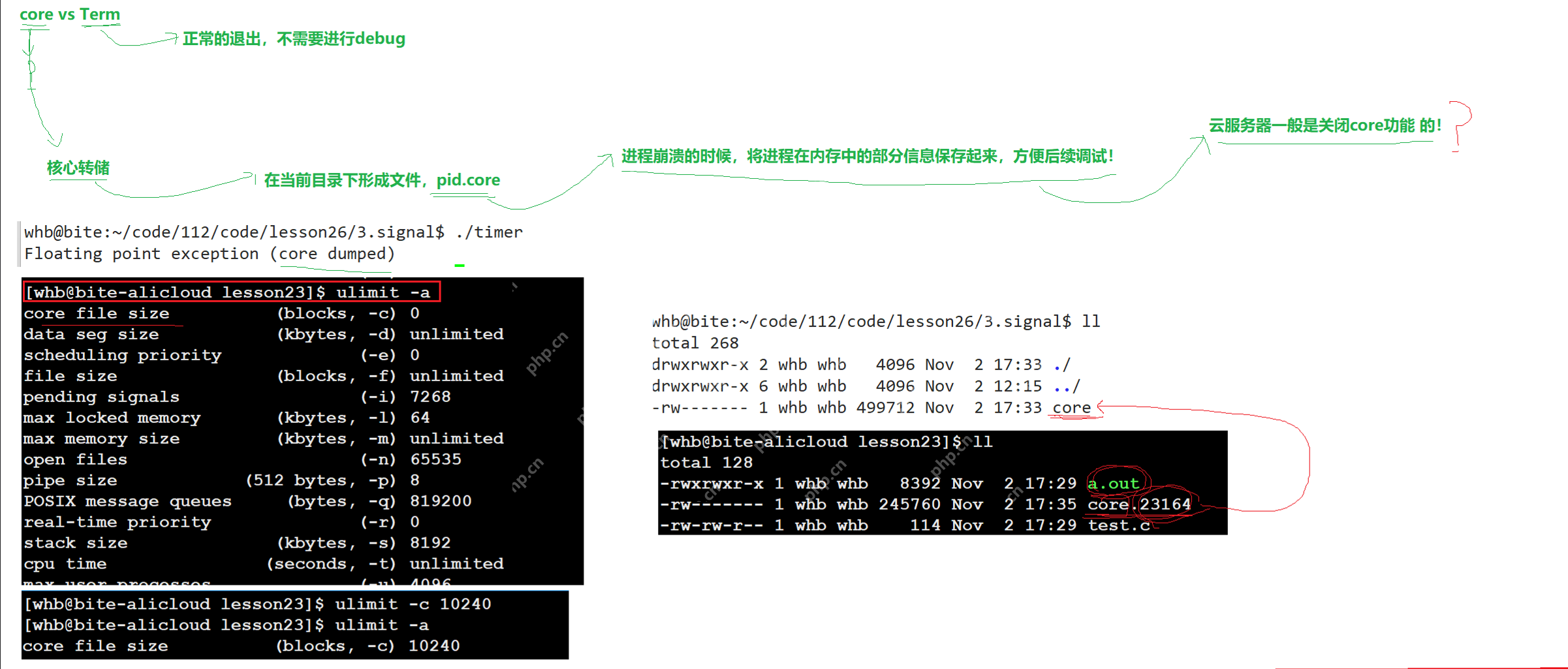 【linux学习指南】Linux进程信号产生(三) 硬件异常&&除零出错？&&野指针异常？&&core文件