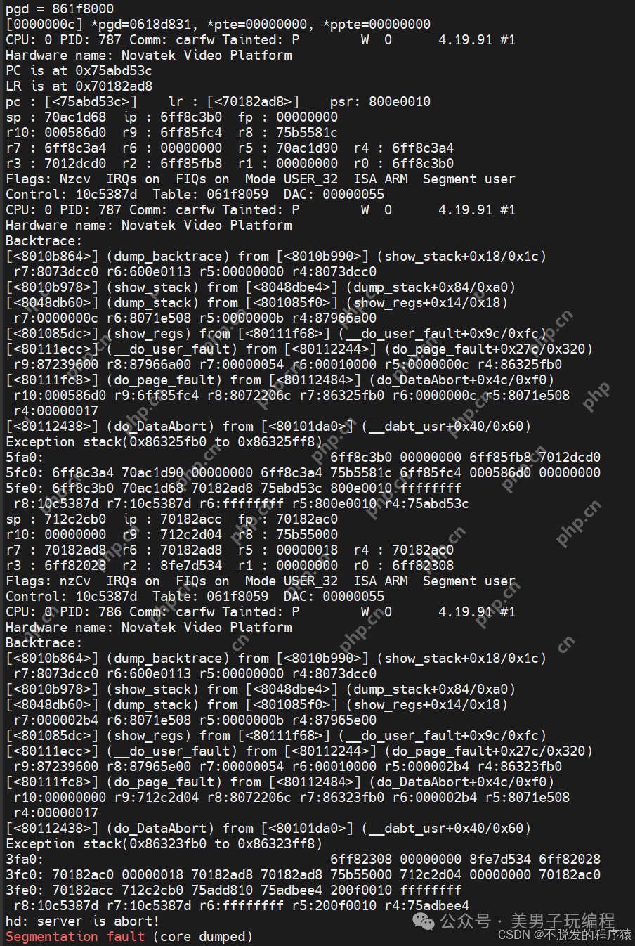 SoC出现段错误,如何快速定位到故障函数?