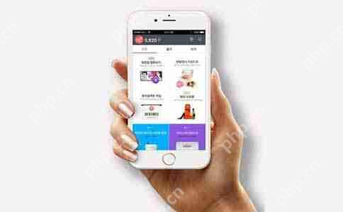 共享租车App开发:满足用户多样化需求