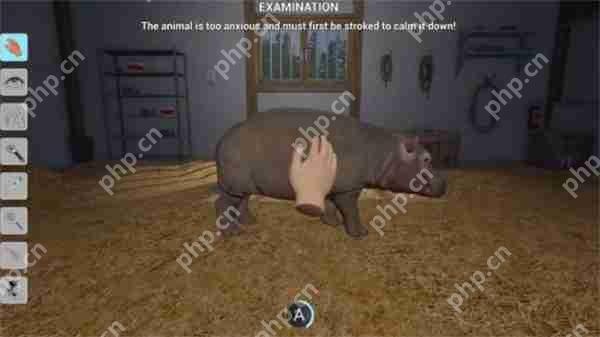 11款新作即将登陆PS平台！《极限竞速：地平线5》等