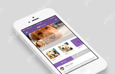 宠物店App开发,零基础自己也能制作,节省90%成本