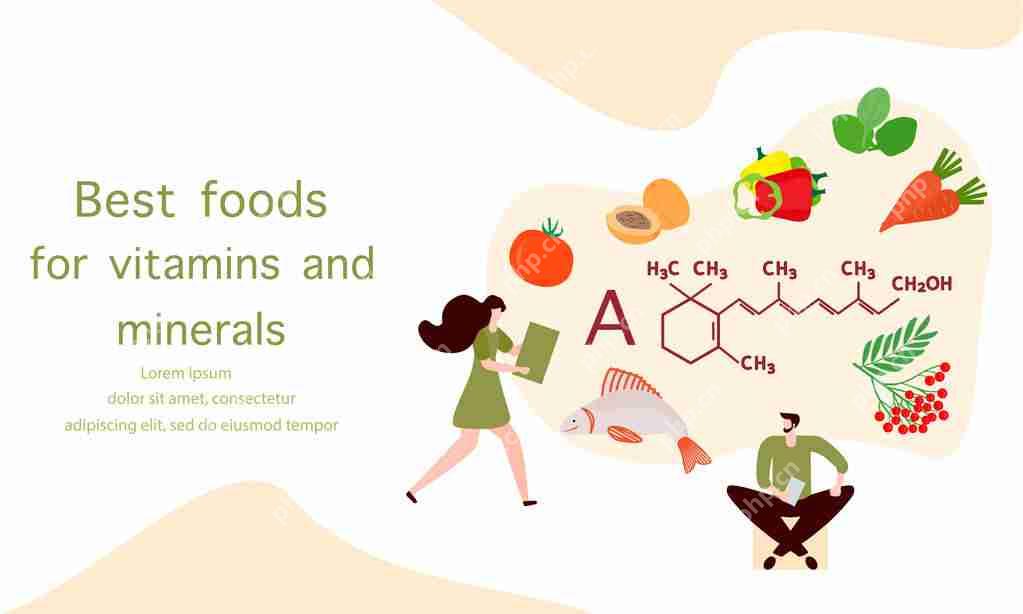 生鲜电商app开发平台:生鲜电商行业APP开发有哪些功能需求?