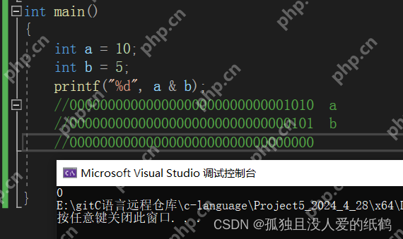 C语言:操作符详解(超详细的操作符详解)
