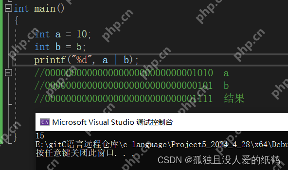 C语言:操作符详解(超详细的操作符详解)