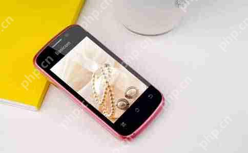 在app开发预算中哪些费用是必不可少的?