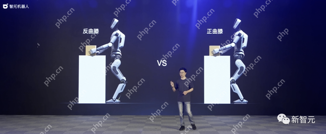 天才少年稚晖君智元机器人走路进场!AI模型做大脑,目标售价20万以内