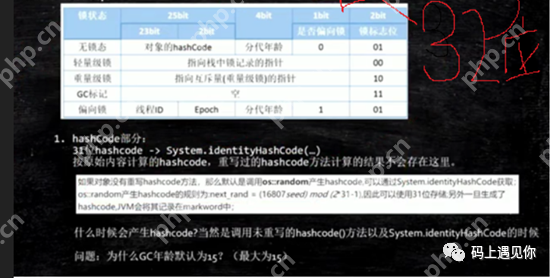 让你吊打面试官的Java内存结构以及对象的内容讲解