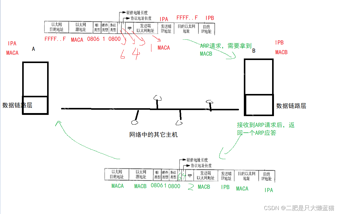 数据链路层：以太网/ARP协议