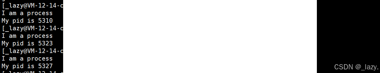 初识Linux · 进程(2)