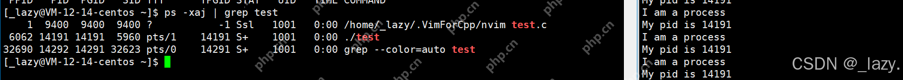 初识Linux · 进程(2)