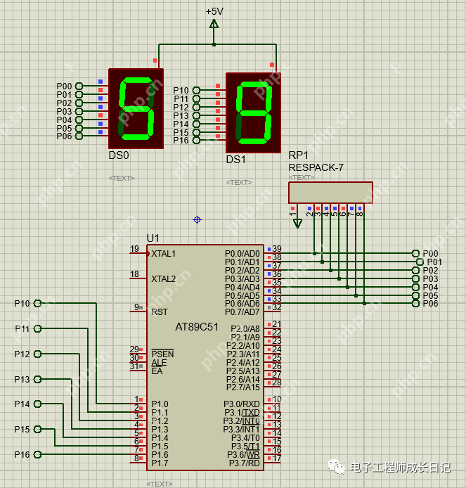 单片机入门:数码管静态显示