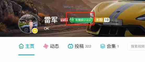 一年绿一次!愚人节B站年度小会员又上线了:绿到发光