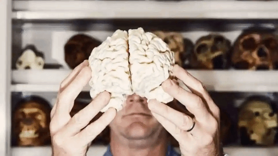 最新研究显示：人类的整体智力水平正在逐年下降！