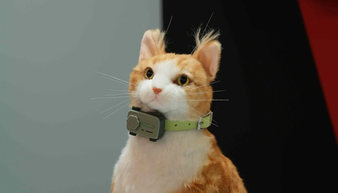 全球首款宠物智能手机亮相:支持定位、AI实时通话