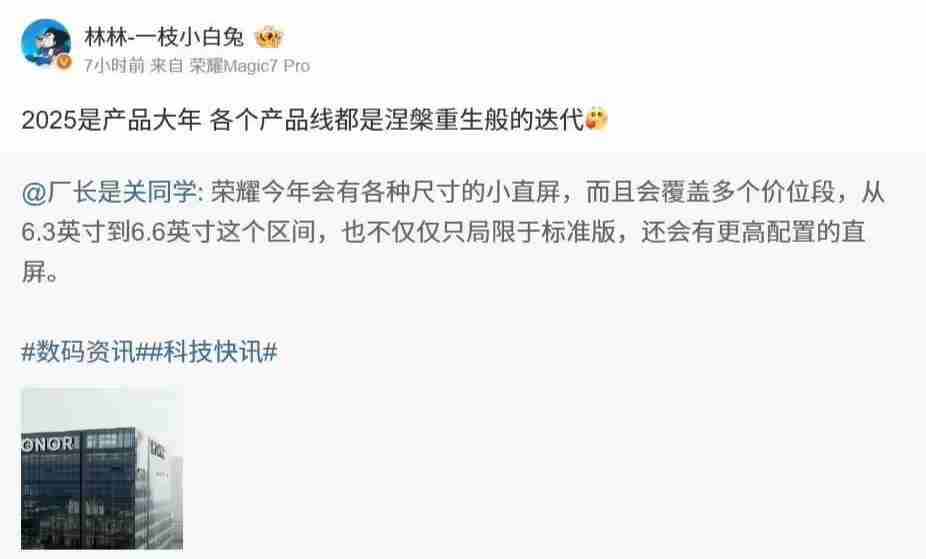 荣耀林林:2025,各产品线将迎来“涅槃重生般的迭代”