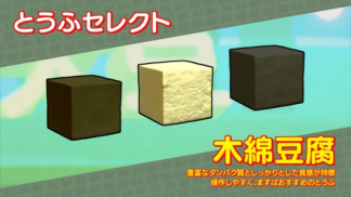 最强豆腐:独特玩法与文化魅力的完美结合