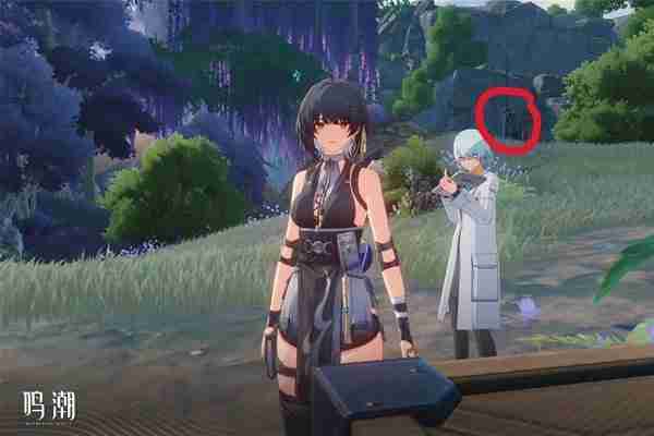 《鸣潮》无光之森生态调查任务指南