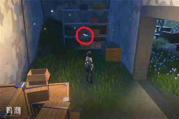 《鸣潮》无光之森生态调查任务指南