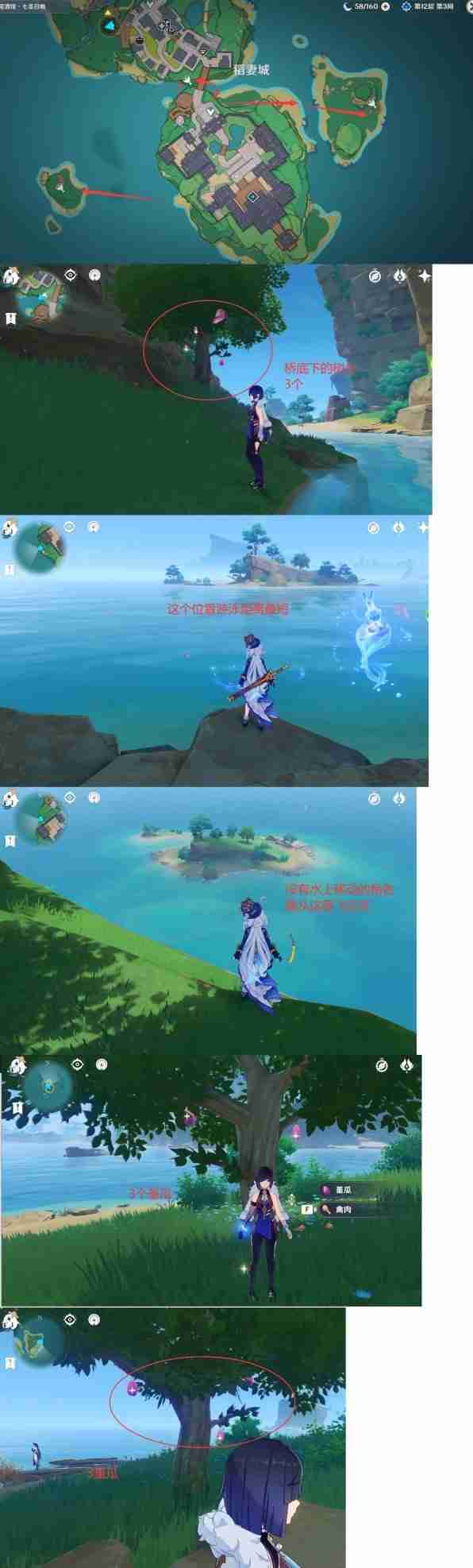 《原神》堇瓜点位分享-堇瓜采集线路推荐