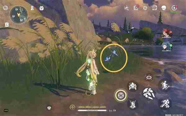 《鸣潮》鸢尾花位置说明-鸢尾花采集线路分享