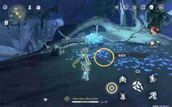 《鸣潮》鸢尾花位置说明-鸢尾花采集线路分享