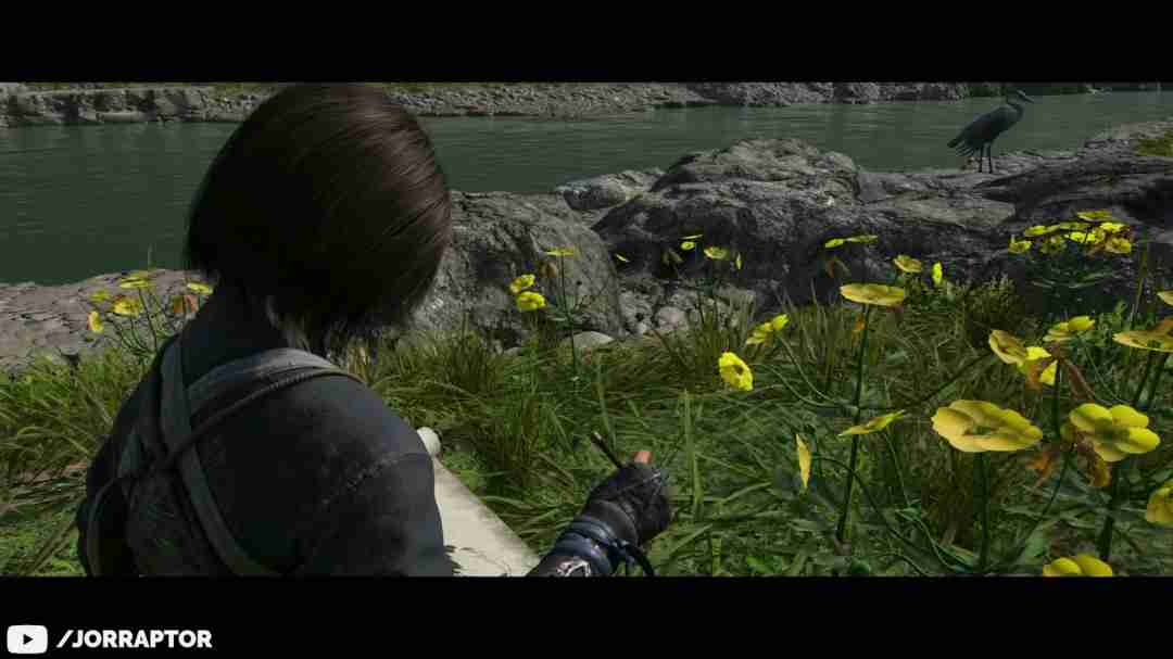 刺客信条：影实机视频揭示诗意探索与文化融合