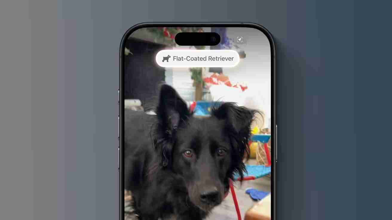 苹果升级iPhone 16视觉智能:提取海报日期变日历、实时识别动植物