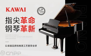 【十大热门电子钢琴品牌】不知道什么牌子的电钢琴好的看过来