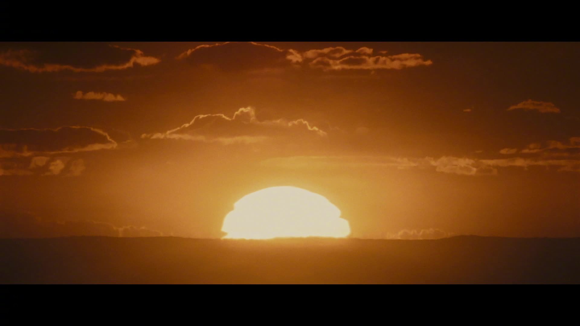 迪士尼《星际宝贝史迪奇》真人电影发布先导预告,联动《狮子王:木法沙传奇》 迪士尼《星际宝贝史迪奇》真人电影发布先导预告,联动《狮子王:木法沙传奇》