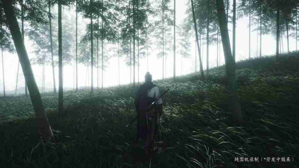 国产武侠游戏《燕云十六声》最新实机画面公布，PC 端标准包将开放“不限制帧率”选项