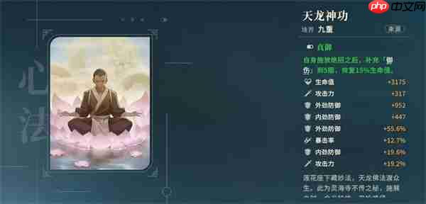 对决剑之川张凌霄心法装备推荐