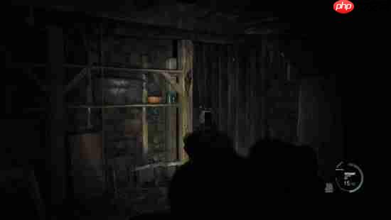 《生化危机4:重制版》变COD?大神制作第一人称mod 全武器瞄具