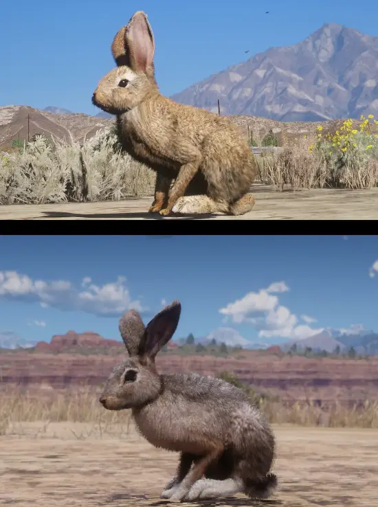 抽象建模看笑了！玩家对比《给他爱5》&《荒野大镖客：救赎2》动物建模