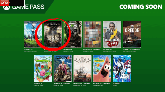 《33号远征队》爆了 外媒揭示原因：营销太强