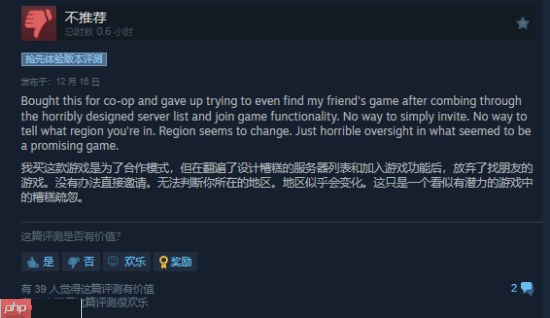 《Raiders of Blackveil》Steam首发褒贬不一 玩家:土豆服务器还敢强制联网?