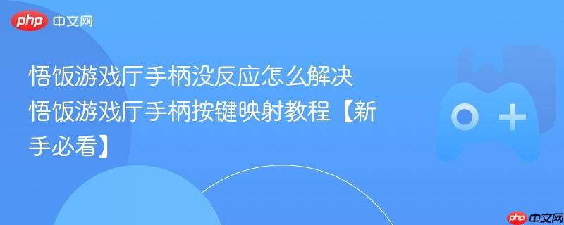 悟饭游戏厅手柄没反应怎么解决 悟饭游戏厅手柄按键映射教程【新手必看】