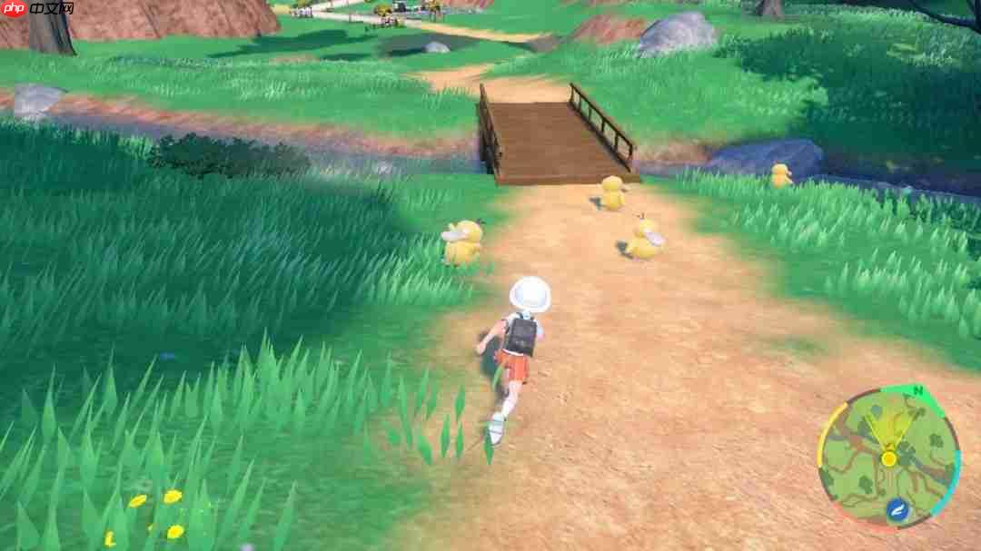 《宝可梦》第十世代骑行系统: