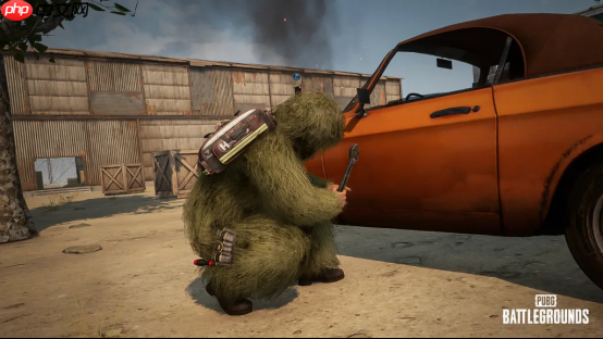 《PUBG》39.1版本更新,开启奇幻冬日盛典