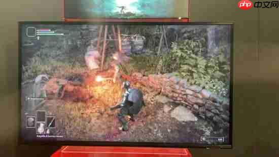 《艾尔登法环：褪色者版》NS2最新实机！性能持续改善 明年发售