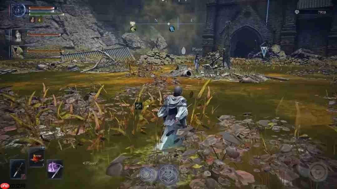 小高的“粪坑”还是回来了！ 《艾尔登法环：黑夜君临》新DLC将实装毒沼地形