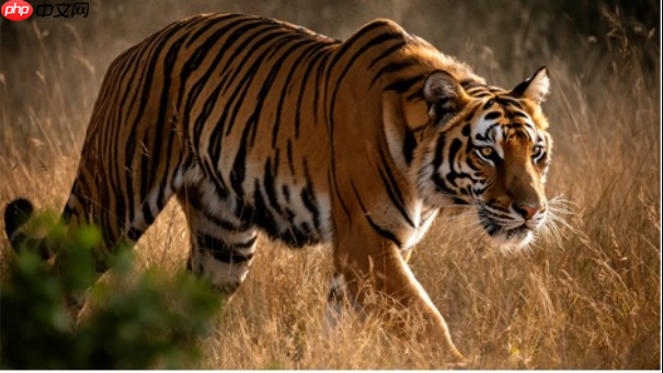 FLUX.2 图像生成模型发布，针对 NVIDIA RTX GPU 优化