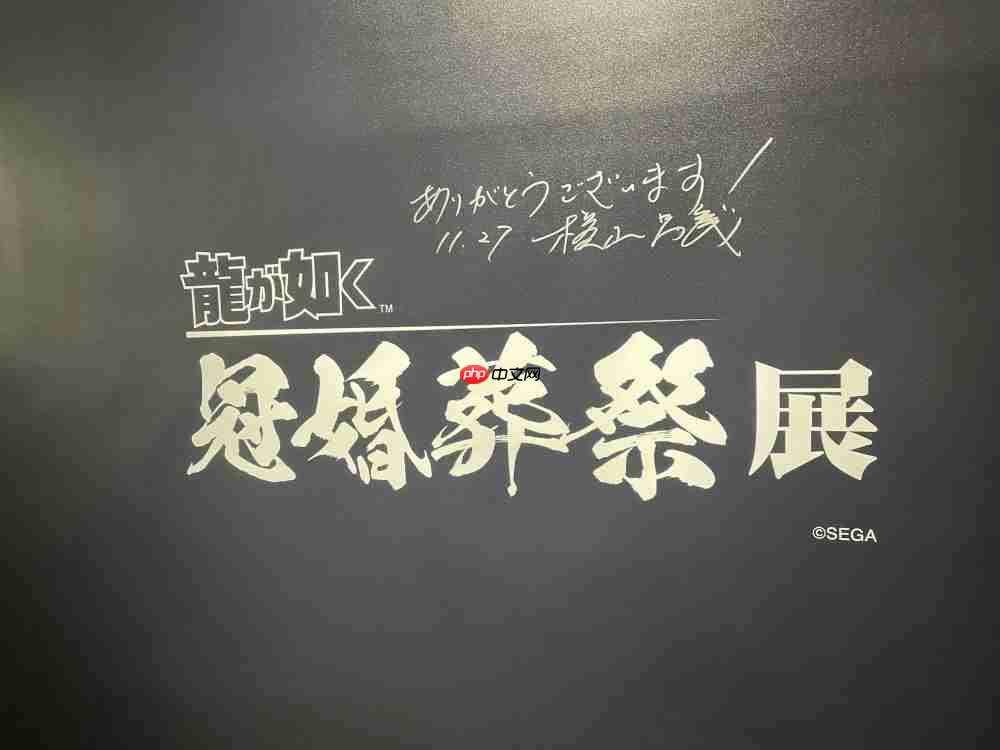 如龙工作室横山代表访谈:《极3/3外传》包含系列未来的惊人线索
