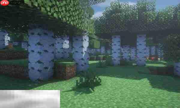 如何在MC里看到隐藏矿石：MC透视方法汇总