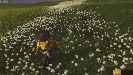 《燕云十六声》对比《羊蹄山之魂》《刺客信条影》：把外国玩家香晕了