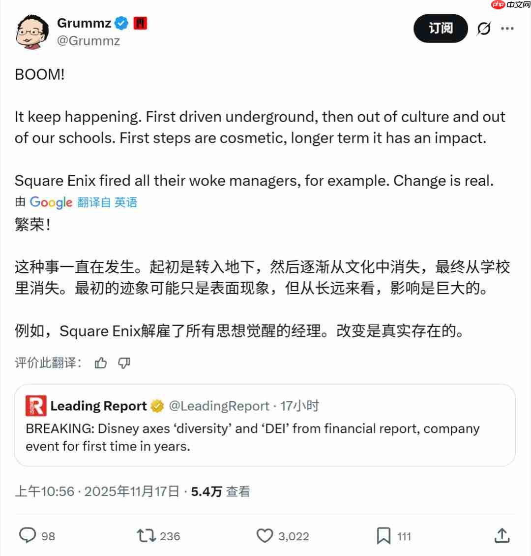 迪士尼在财务报告中不提DEI 五年来首次