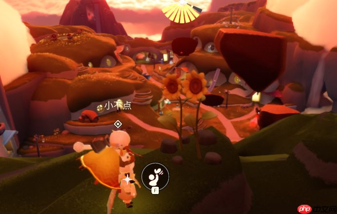 光遇8.7双生向日葵位置介绍-光遇8.7双生向日葵位置在哪