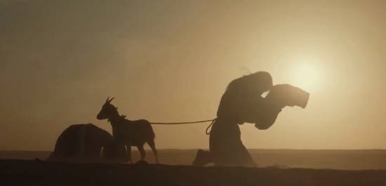 你看没！爆火大剧《太平年》现吃人、牵羊礼等场面 导演回应让网友沉默